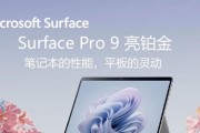 二合一电脑（便携性与功能性的完美结合）