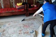 洁家政小时工（以e家洁为代表的高效洁家政服务提供商）