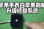 苹果不刷机的利与弊（解密苹果不刷机的优劣势）