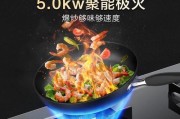 万家乐灶具的品质与性能如何？（以万家乐灶具为例，探究家用灶具的选购与使用要点）