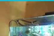 开咪咕唱吧，让你尽情释放歌声的好地方（打破时空限制，享受高品质KTV体验）