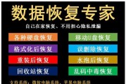 如何恢复移动硬盘中的格式化数据（简单有效的数据恢复方法）