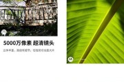 以前置200万像素为主题的摄影世界探秘（前沿科技下的画面细腻与生动）