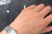 瑞士内存（探索瑞士内存的卓越性能和可靠性）